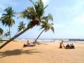 Negombo Area